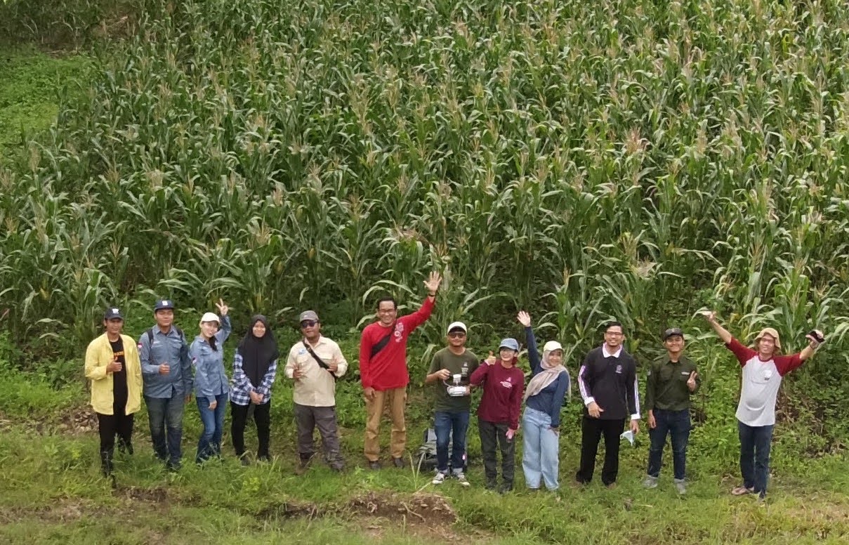 Pemantauan Kesehatan Tanaman dengan Precision Agriculture
